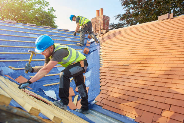Best Cold Roofs  in Paloma Creek South, TX